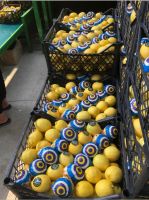 Premium Quality Fresh LEMON Fast Shipping high Quality Lemon from Turkey