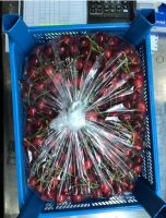 Quality Fresh Red Cherries From Turkey Fast Shipping