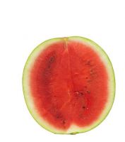 Fresh Water Melon Fast Shipping high Quality water melon from Turkey