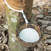 Natural Rubber Latex HA 60% DRC