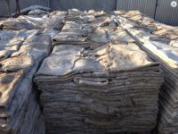 Wet Salted cow hides