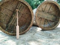 BAMBOO CORACLE - COMPETITIVE PRICE FROM VIETNAM