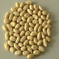 BLANCHED BOLD PEANUTS