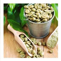 Arabica Coffee Beans/ green beans coffee 