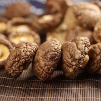 Organic Healthy Snack High Quality Fresh Shitake Mushrooms Dried 