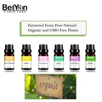 Powerful Scent Natural Blend Essential Oils Top 6 Set Immune Booster/Energise/Sweet Dreams/Anxiety/Stress Relief/Breathe