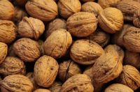 Walnuts Seeds