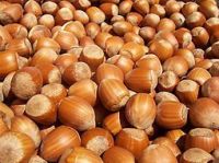 Quality Hazelnuts