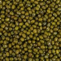 Green Mung Beans