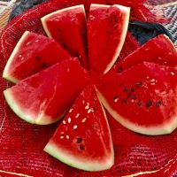 Fresh Watermelon For Sale
