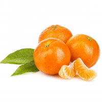 Oranges for sale Fresh Navel Orange