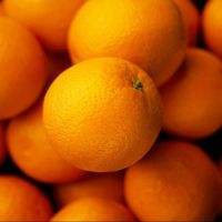 Orange Mandarin Orange With Acceptable Price Natural Sweet