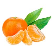  Low Price Wholesale 100% Natural Chinese sweet Mandarin Orange