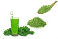 Top  Organic Kale Powder