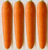 Best carrot