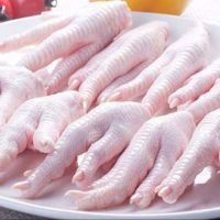 100%  Frozen Chicken Paws for Sale from Chile and Argentina