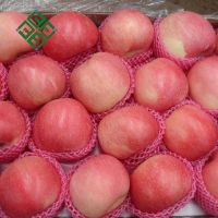 Buy Red Delicious Apple ,Royal Gala Apple ,Granny Smith Apple Autumn