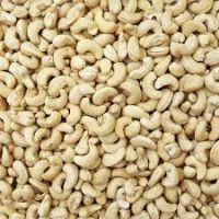 CASHEW NUT KERNEL - SIZE W450