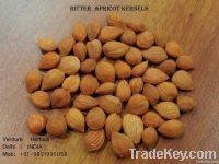 Bitter Apricot Kernels