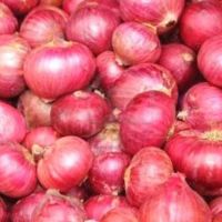 red onion 