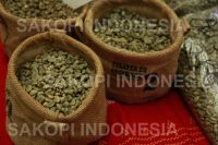 Gayo Arabica Coffee Bean