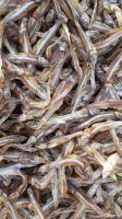 Dried Anchovy 