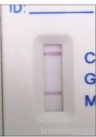 Dengue IGG/IGM Combo Test