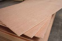 Factory 12mm Regular Gypsum Board