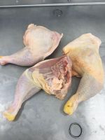 CLQ (Chicken leg quarters) A-category