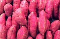 sweet potatoes 