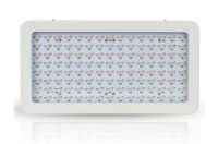 600w LED grow lights with full spectrum and 120pc 5w LEDs