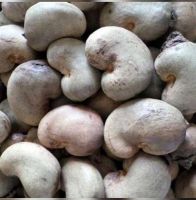 Raw Cashew Nuts