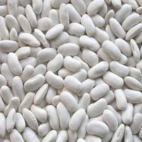  White Kidney Beans