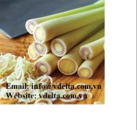 Vietnam Fresh Lemongrass