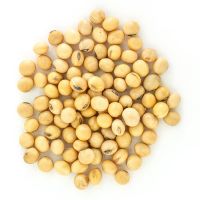 NON GMO Soybeans