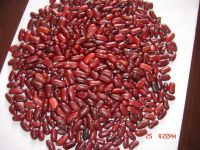 Red Kidney Beans