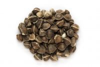 Moringa