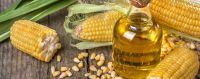 CORN OIL | MAIZE OIL 