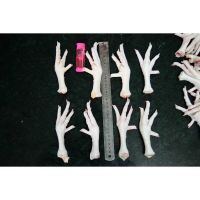 Cheap price frozen chicken feet & paws for sale