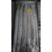 Frozen Whole Round Hairtail Fish Ribbon Fish