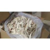 Certified Approved Pakistani Cuttlefish Bone