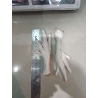 Frozen Chicken Feet/Paws With Affordable Prices