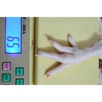Frozen Certified Chicken Processed Feet/Paws For Sale