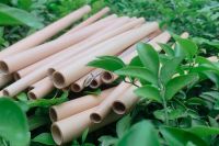 Vietnam Dried Bamboo Drinking Straws