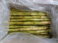 Frozen Sugarcane/WHATSAPP:+84397392071