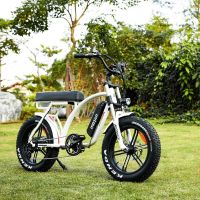 WHD. 750W Electric Bicycle Fat Tire Bike