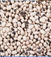 White Beans On sale in