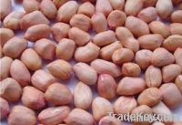 Peanut kernels