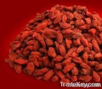 goji berries