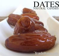 Dates Fruit | Palm Dates | Degllat Al-Nur